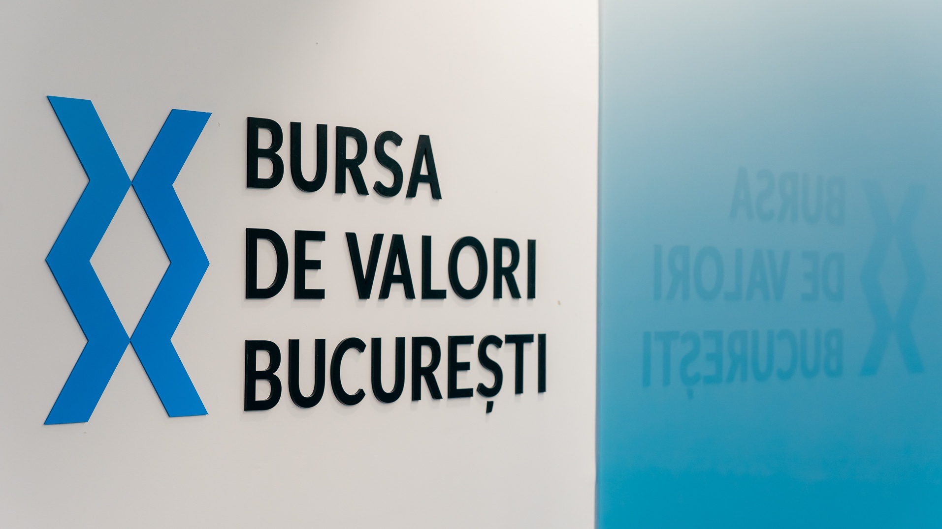 bne IntelliNews